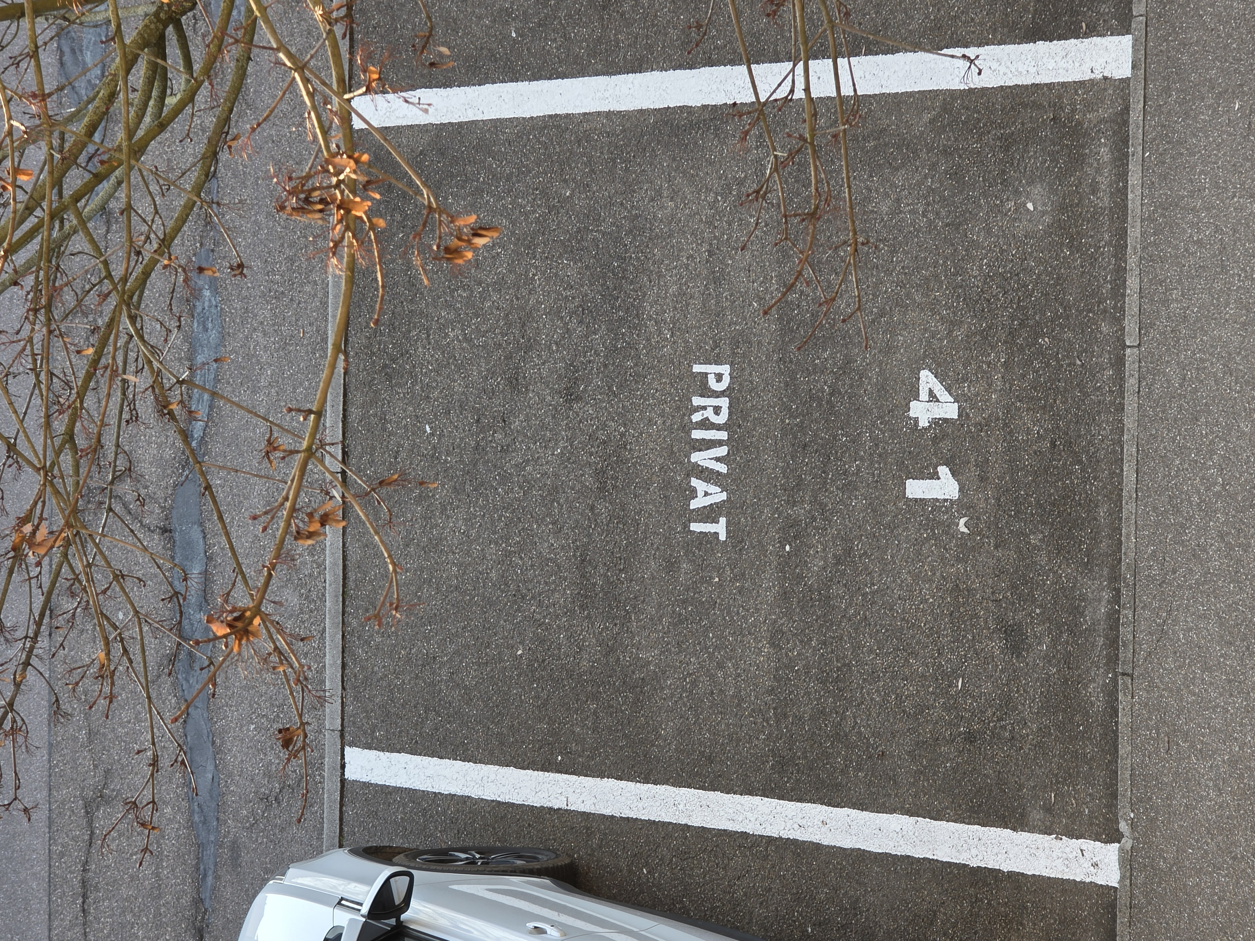 Referenzbild - Referenzbild